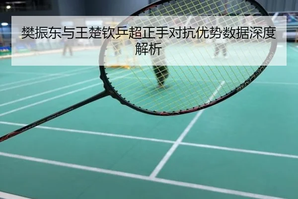 樊振东与王楚钦乒超正手对抗优势数据深度解析